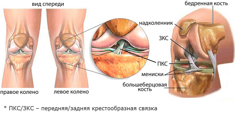 Kaasaegne salv liigeste valu Arthroosi kasi sorme