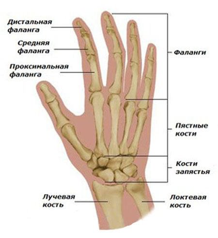 Pohjus valu liigeste sormede kate