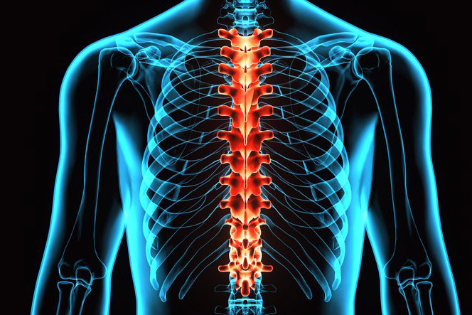 Osteokondroos harjade liigestes Kuidas eemaldada valu, kui puusaliigese poletik