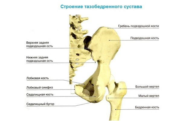 Olauhenduse anatoomilise kaela luumurdumine Osteokondrose salvi, kui imetamine