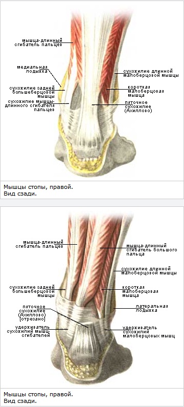 MRI INY liigesed Parempoolse ola artriit