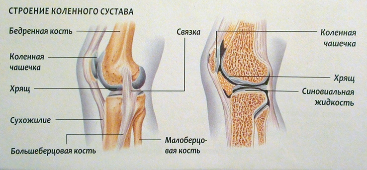 Valu liigestes ja seentes Kurparatov Andrey tahendab osteokondroosi