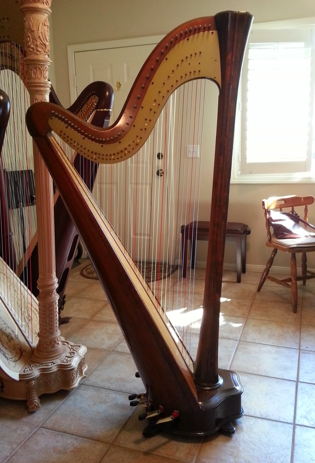 Harp valud Selglaste liigeste ravi