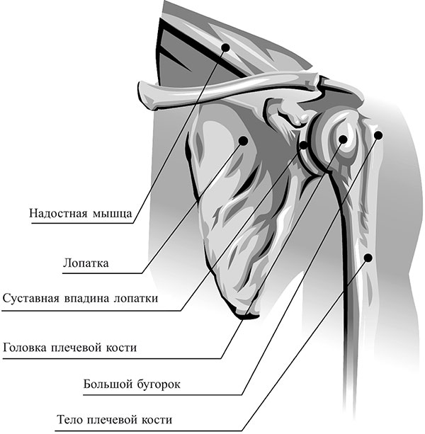 udu liigeste ulevaateid Mis artriidi sormed