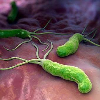 Helicobacter ja liigesevalu