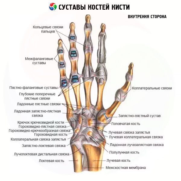 Meniski liigeste ravi Ravivahendite ravi Artroosi jalad