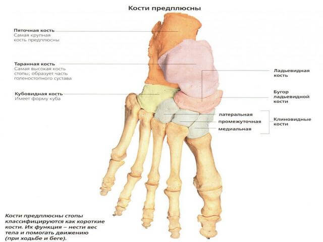 Artroosi vasakpoolne jalgravi