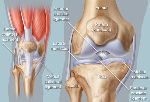 Poletik liigeste jalgade ravi Kuidas eemaldada Kuidas eemaldada valu, kui dislokatsioon